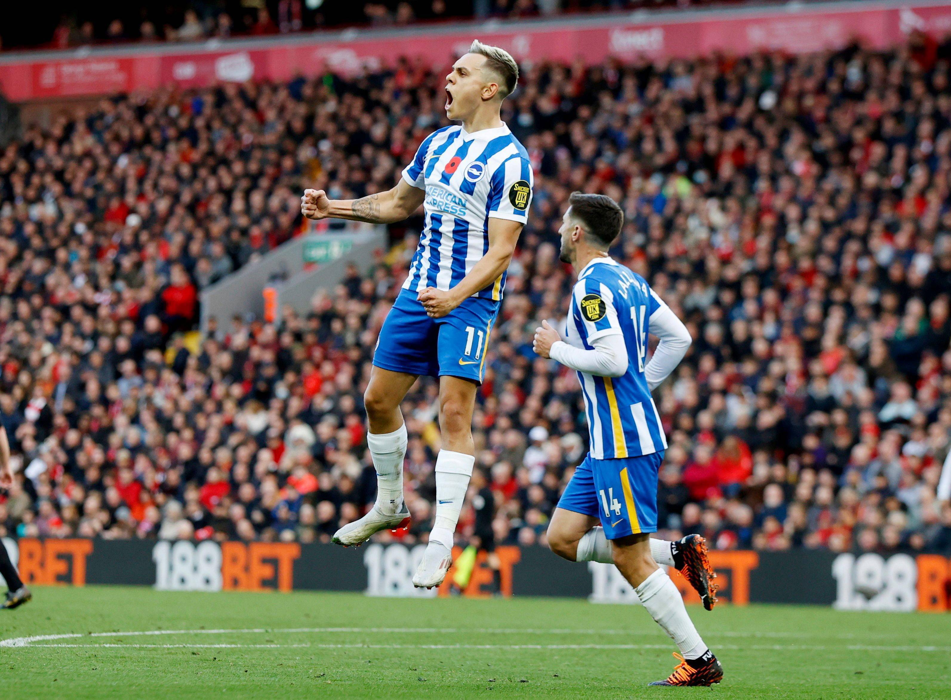 的出色表现 的出色表现